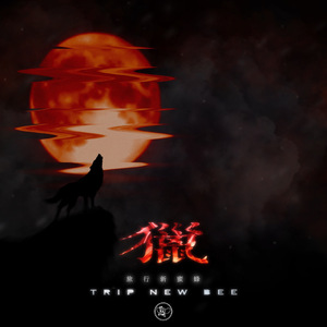 成年女人毛片免费观看不卡
