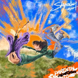 成年女人毛片免费观看不卡
