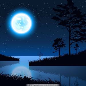 成年女人毛片免费观看不卡
