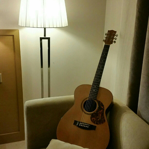 成年女人毛片免费观看不卡
