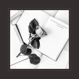 成年女人毛片免费观看不卡
