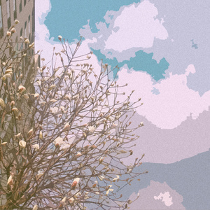 成年女人毛片免费观看不卡
