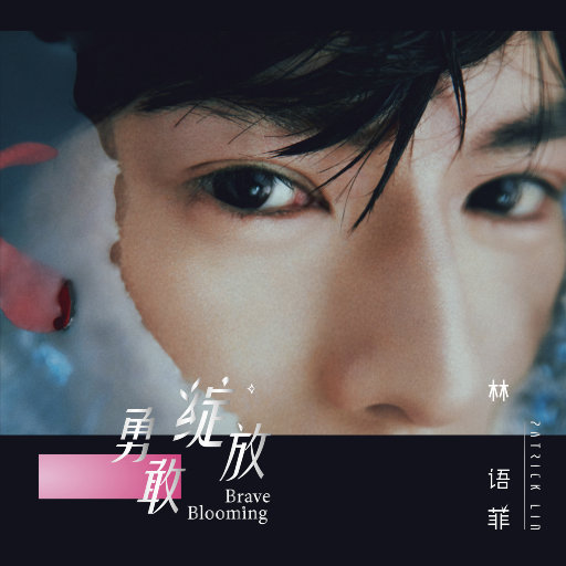 成年女人毛片免费观看不卡
